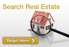 MLS Search