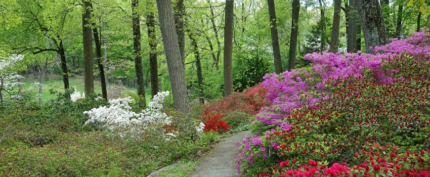 beautiful parks and recreation